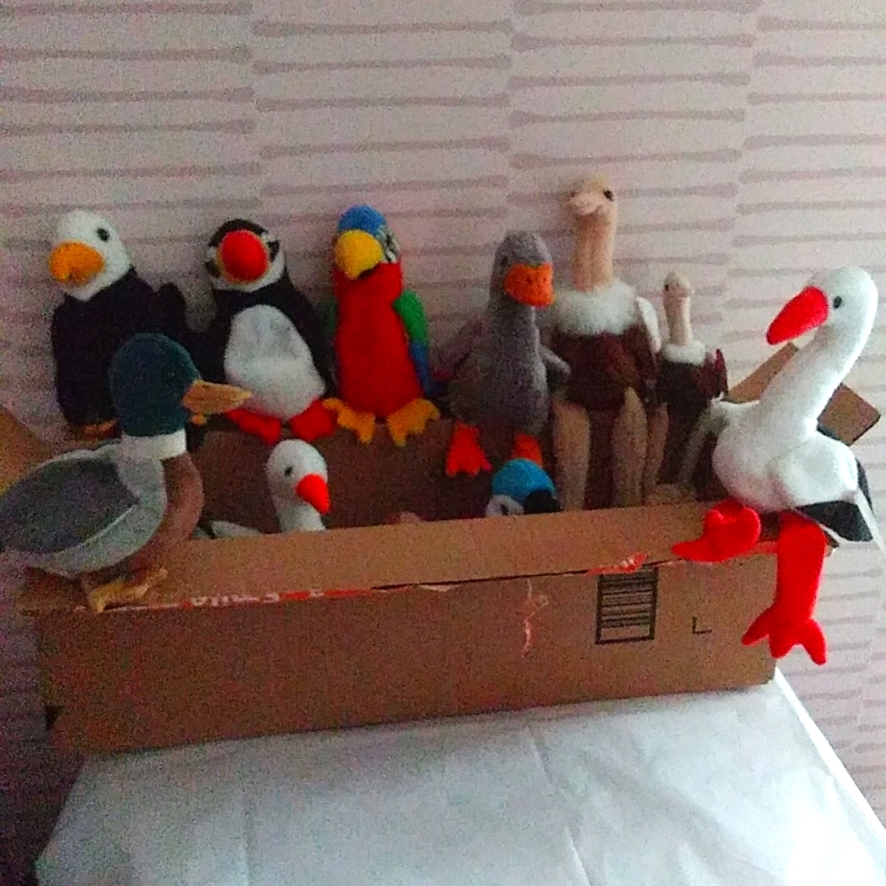 Ty Birds of a Feather Bundle of 10 VINTAGE RARE NWT